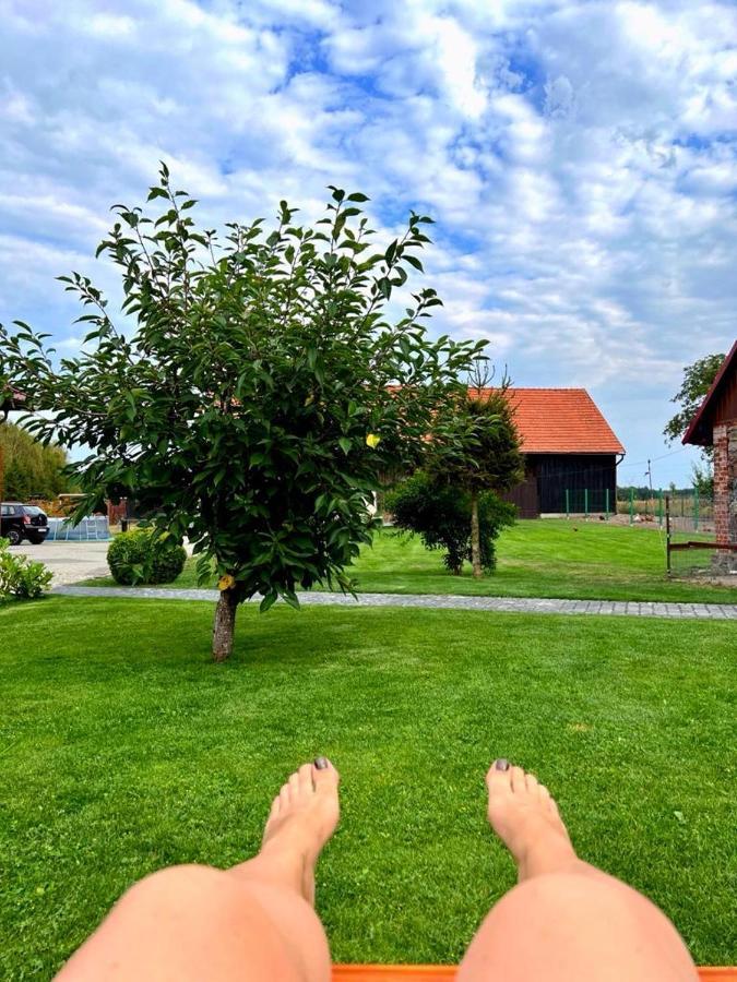 Agroturystyka "Zielone Zacisze" Lagow (Swiebodzin) Exterior foto
